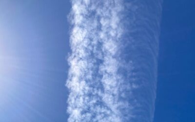 Thieves of the blue sky