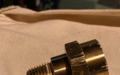 Little grey cells – by Scott Marsland, FNP-C