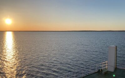 Winning for losing (part 2 of 3)