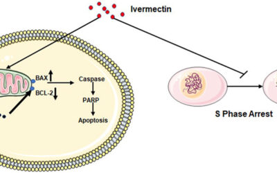 Ivermectin for Cancer: Scientific Mechanisms & Clinical Outcomes (2025)