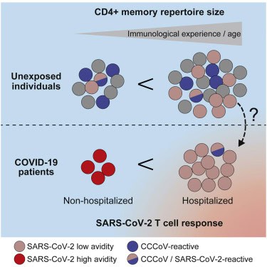 CD4 T-Cell Count in Covid Patients