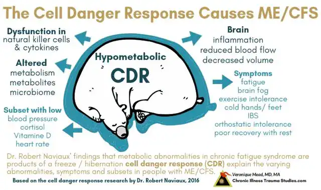 Cell Danger Response in ME/CFS diagram illustrating brain inflammation, immune dysfunction, and altered metabolic states leading to symptomology