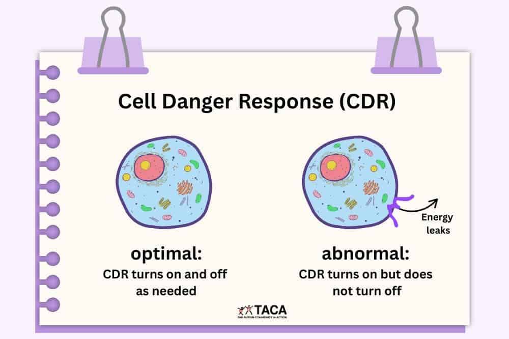 Basic diagram illustrating an optimal versus abnormal Cell Danger Response. The abnormal CDR shows ATP leakage of the cellular membraien