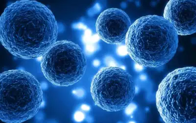 The Cell Danger Response: Why Reducing Inflammation Isn’t Enough for Long COVID & Post-Vaccine Syndrome Recovery – Part 2