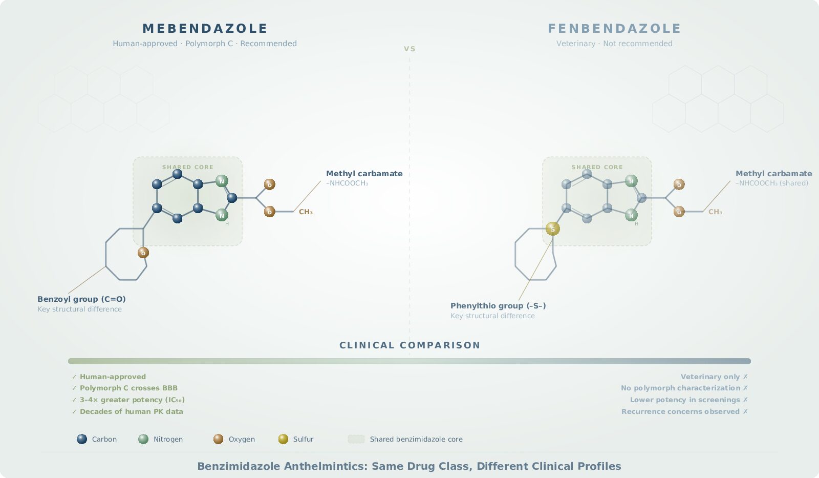Fenbendazole vs. Mebendazole for Cancer: Why the Distinction Matters