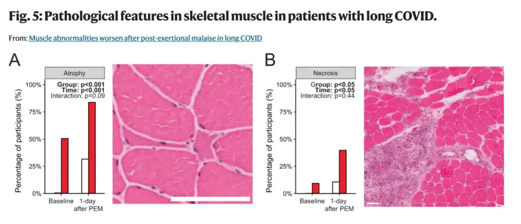 Figure 5 from Appelman et al.,